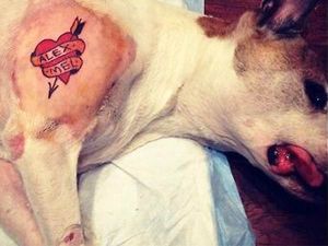 mistah-metro-dog-tattoo-new-york